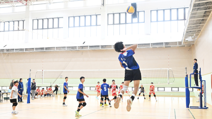 英超第14轮，利物浦、切尔西爆冷，阿森纳巩固领先，曼城或与阿森纳争夺冠军。