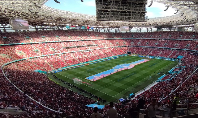 禁區雙塔的 禁區雙塔的