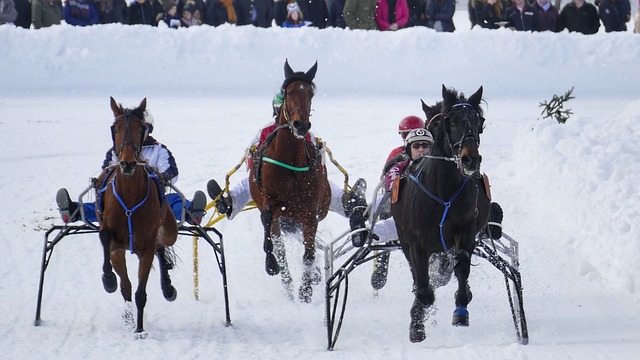 前景展望 前景展望