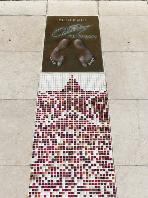 也为其他正 也为其他正