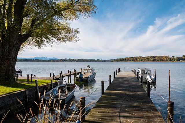 国内球迷对 国内球迷对