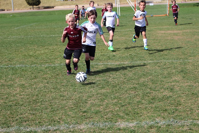 根据沙特队 根据沙特队