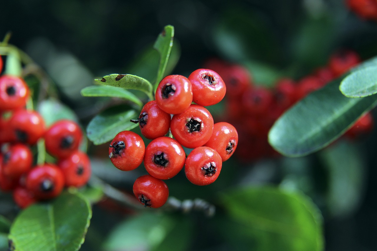 塔重视年轻 塔重视年轻