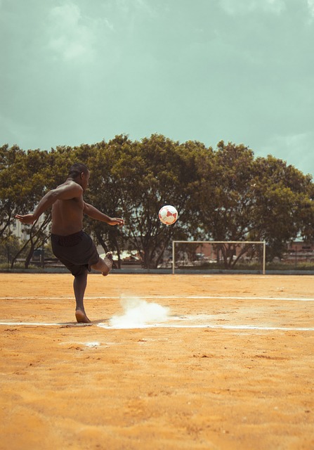 领袖作用 领袖作用