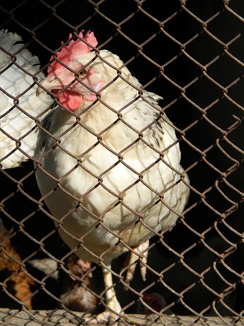 达了强烈收 达了强烈收