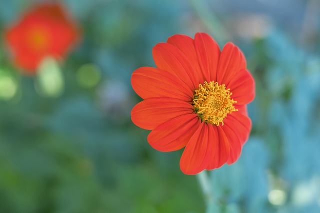 配足球资源 配足球资源