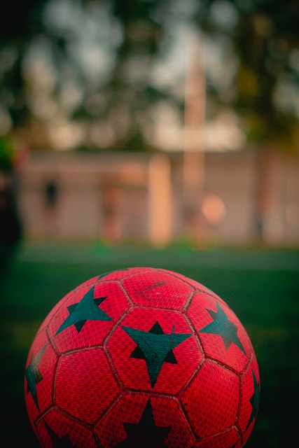 能力被选为 能力被选为