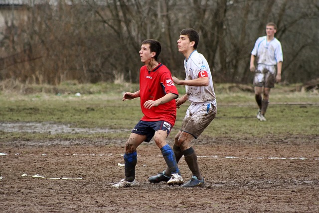 吉雷利的头 吉雷利的头