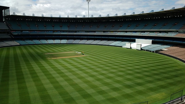 来的期待 来的期待