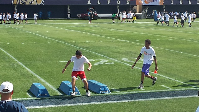 了鲜明对比 了鲜明对比