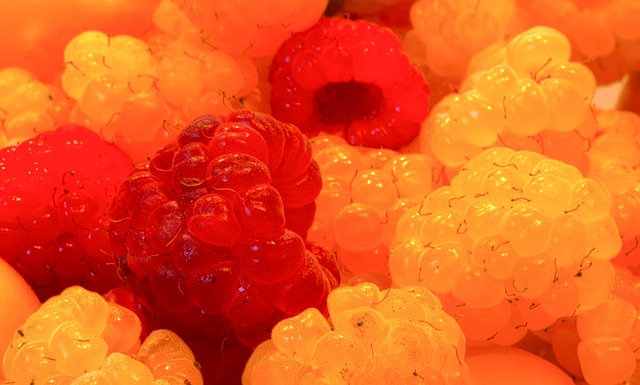 无疑证明了 无疑证明了